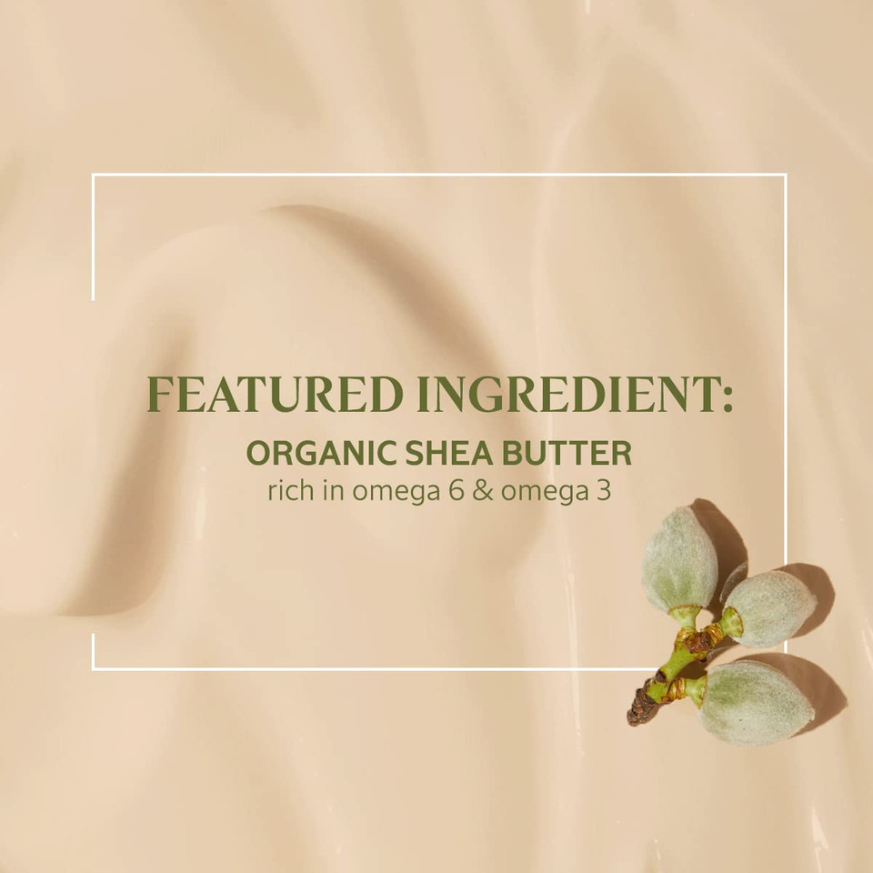 L'Occitane 15% Shea Butter Body Rich Lotion, Moisturizes, Nourishes & Soothes Dry Skin, Anti-Aging, Lightweight, Non-Greasy, Hydrating Skincare, Vegan