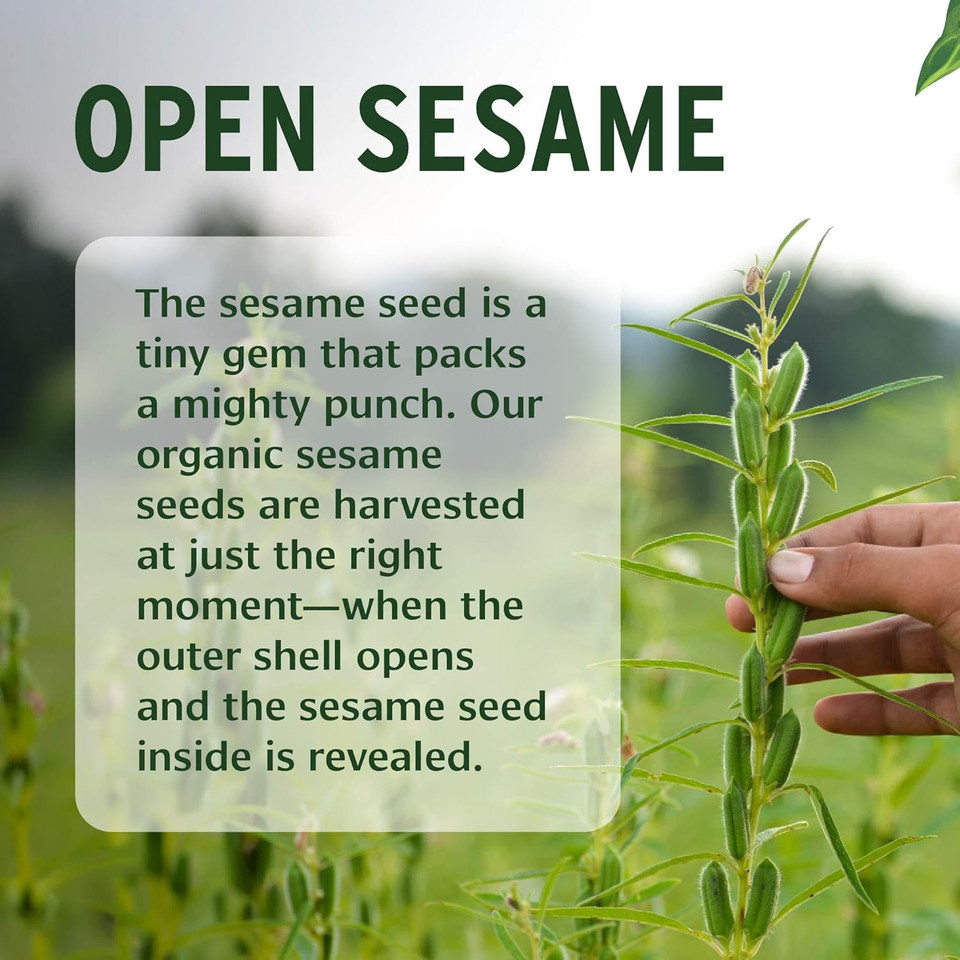 Banyan Botanicals Sesame Oil  Organic & Unrefined Ayurvedic Oil For Skin, Hair, Oil Pulling & More  Multiple Sizes  34Oz.  Non Gmo Sustainably Sourced Vegan