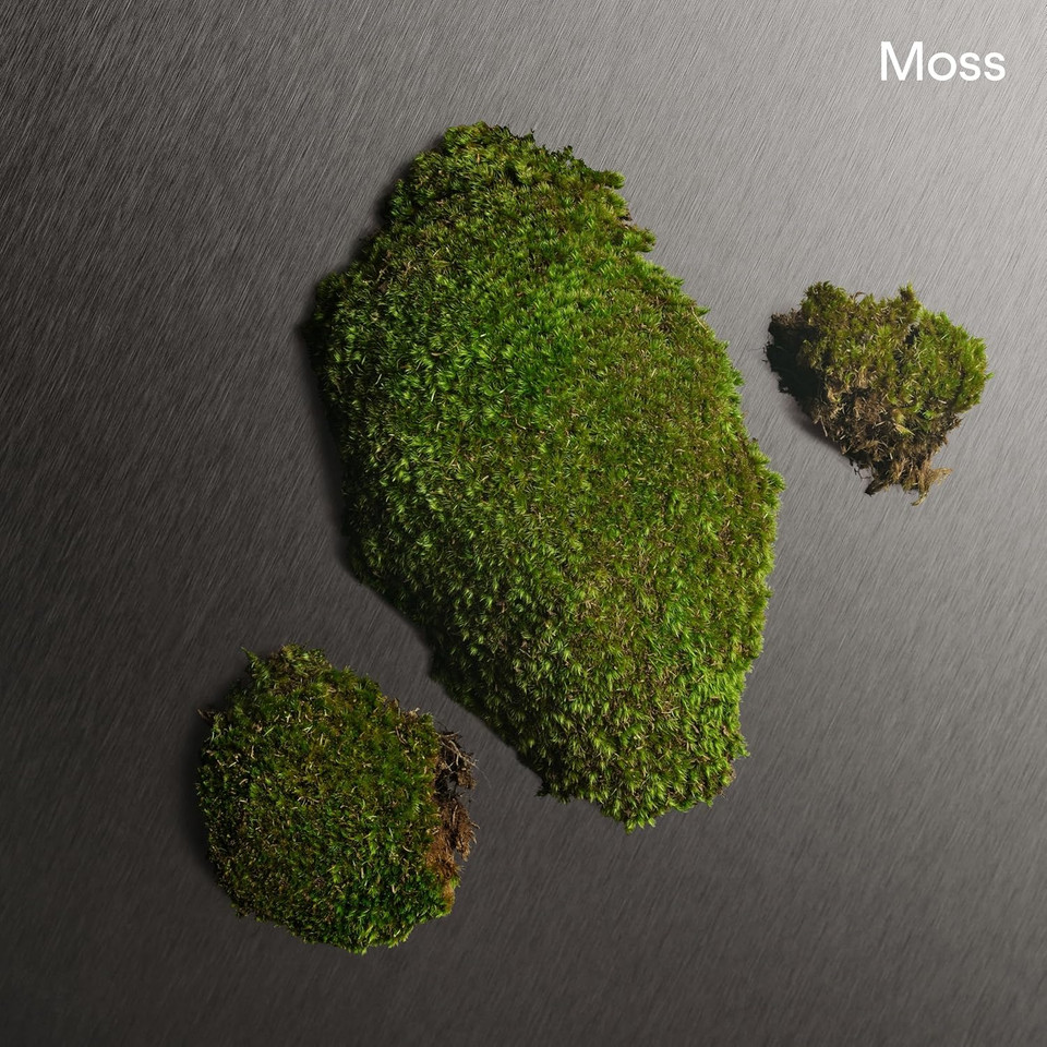 Calvin Klein Eternity For Men Aftershave - With Notes Of Bergamot, Geranium, Sandalwood, And Amber