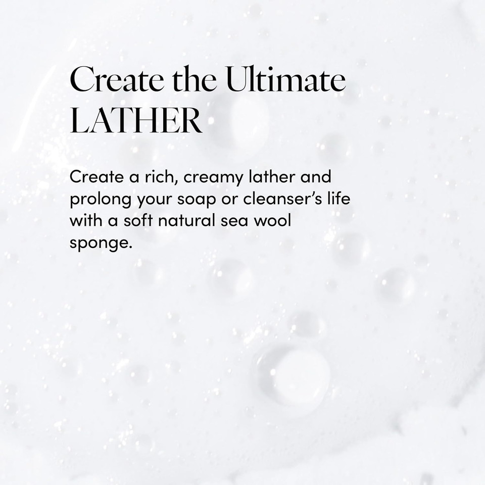 Lather - Natural Sea Wool Sponge, 4-5" - Organic Exfoliating Body Scrubber - Soft, Gentle Cleansing - Hypoallergenic - All Skin Types - Florida Natural Loofah Sponge - Cruelty Free - Beauty & Skincare