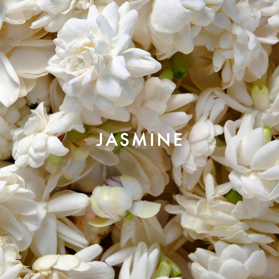 Alfred Sung Women'S Perfume Fragrance, Sung By Alfred Sung, Eau De Toilette Spray, 1 Fl Oz