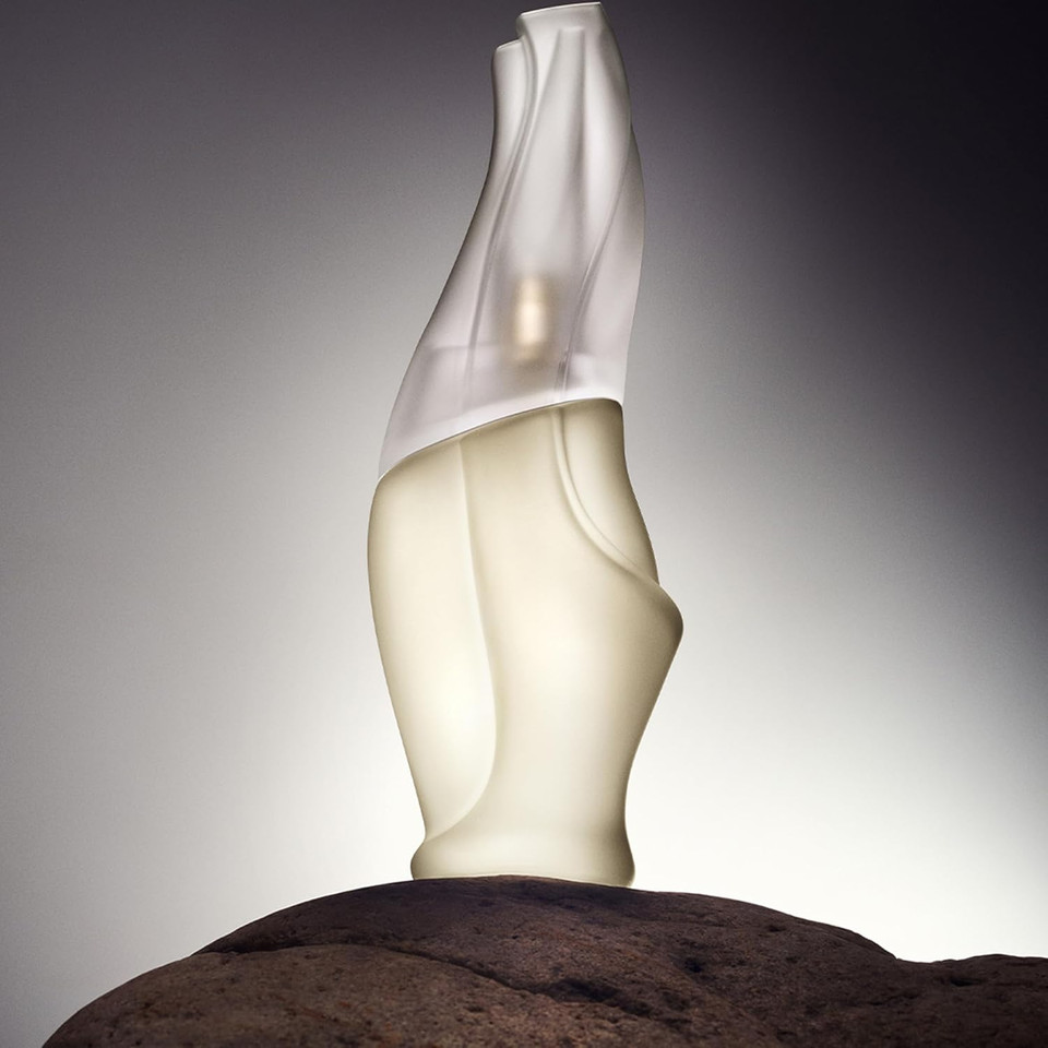 Donna Karan Cashmere Mist Luxury Eau De Toilette Set For Women - Mini Spray 0.5 Fl. Oz. & Purse Spray, Travel Spray 0.5 Fl. Oz