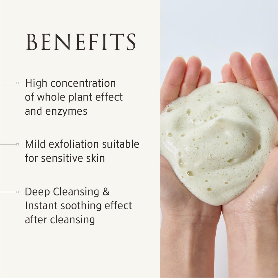 Yunjac Whole Plant Effect Daily Foam&Exfoliant(2.82Oz)-Soothing Enzyme-Infused Matcha Exfoliant Suitable For Sensitive Skin. Infused With Oil Or Water,Deeply Cleanses And Soothes Sensitive Skin