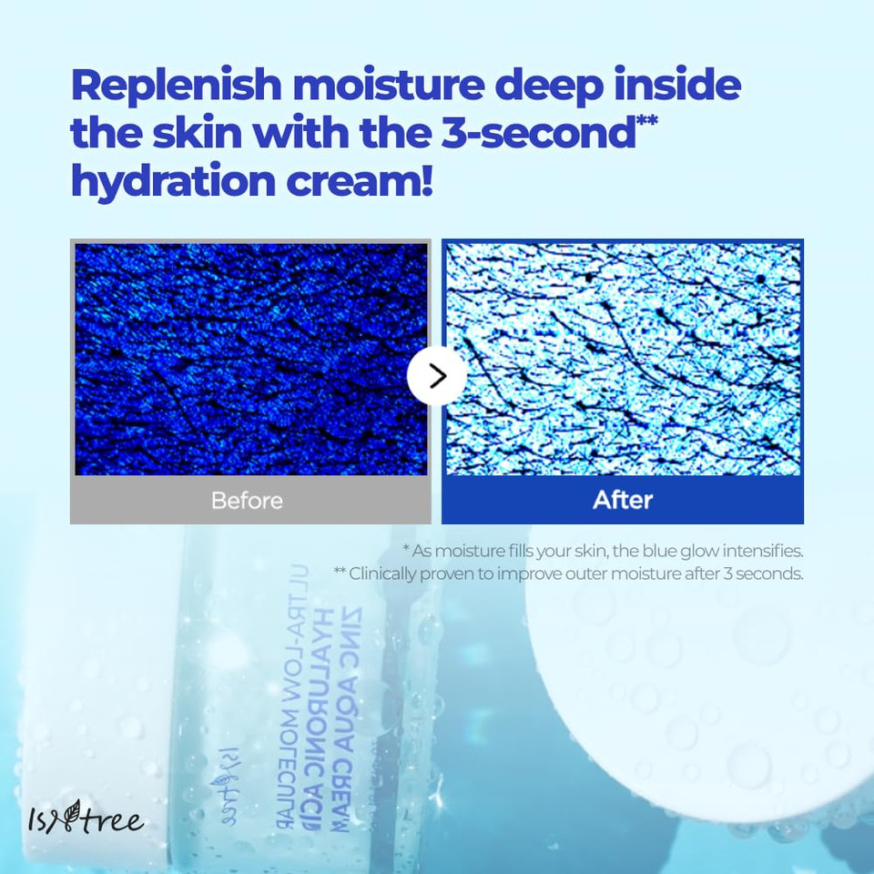 Isntree Istree Zinc Aqua Cream 30Ml, 1.01 Fl Oz | Korean Skincare | Ultra-Low Molecular Hyaluronic Acid | Pore Refining & Oil Control | Cooling & Hydrating Gel Cream