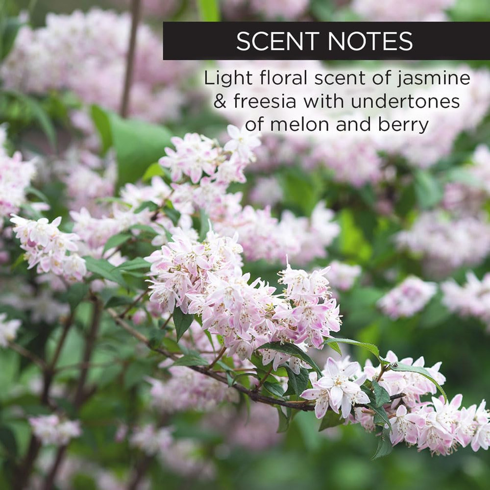 Whish Face Oil With Bakuchiol - Body & Face Moisturizer For Women & Men - Natural Retinol Alternative - Skin Care & After Shower Body Oil - For All Skin Types - 1 Oz Whish Face Oil With Bakuchiol - Body & Face Moisturizer For Women & Men - Natural Retinol Alternative - Skin Care & After Shower Body Oil - For All Skin Types - 1 Oz