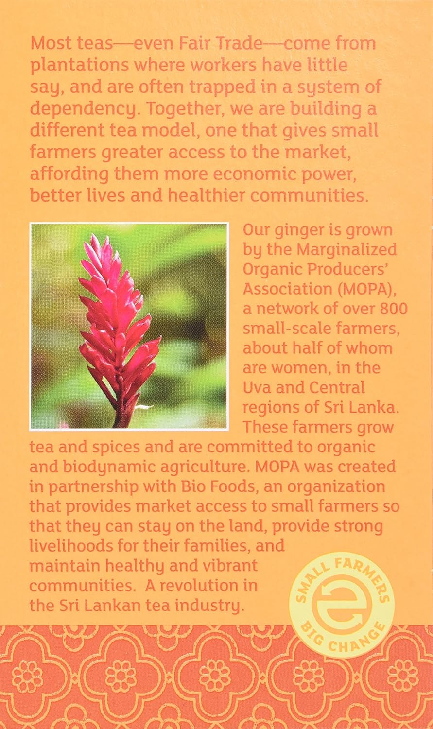 Equal Exchange Organic Caffeine Free Ginger Tea, 20-Count