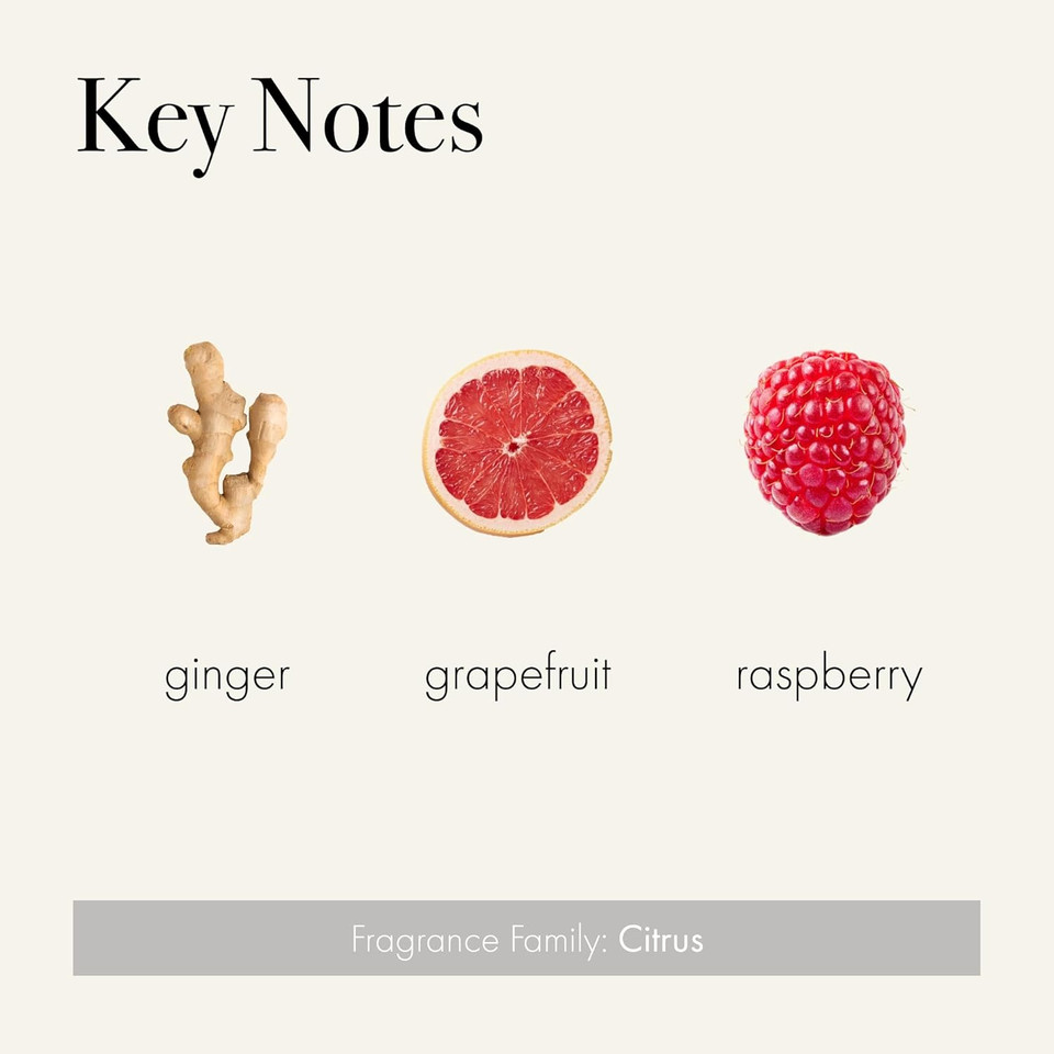 Lafco New York Hand Cream, Champagne - 12 Oz - Restores & Repairs Skin - All Skin Types - Hypoallergenic, Synthetic Free & Cruelty Free - Made In Italy