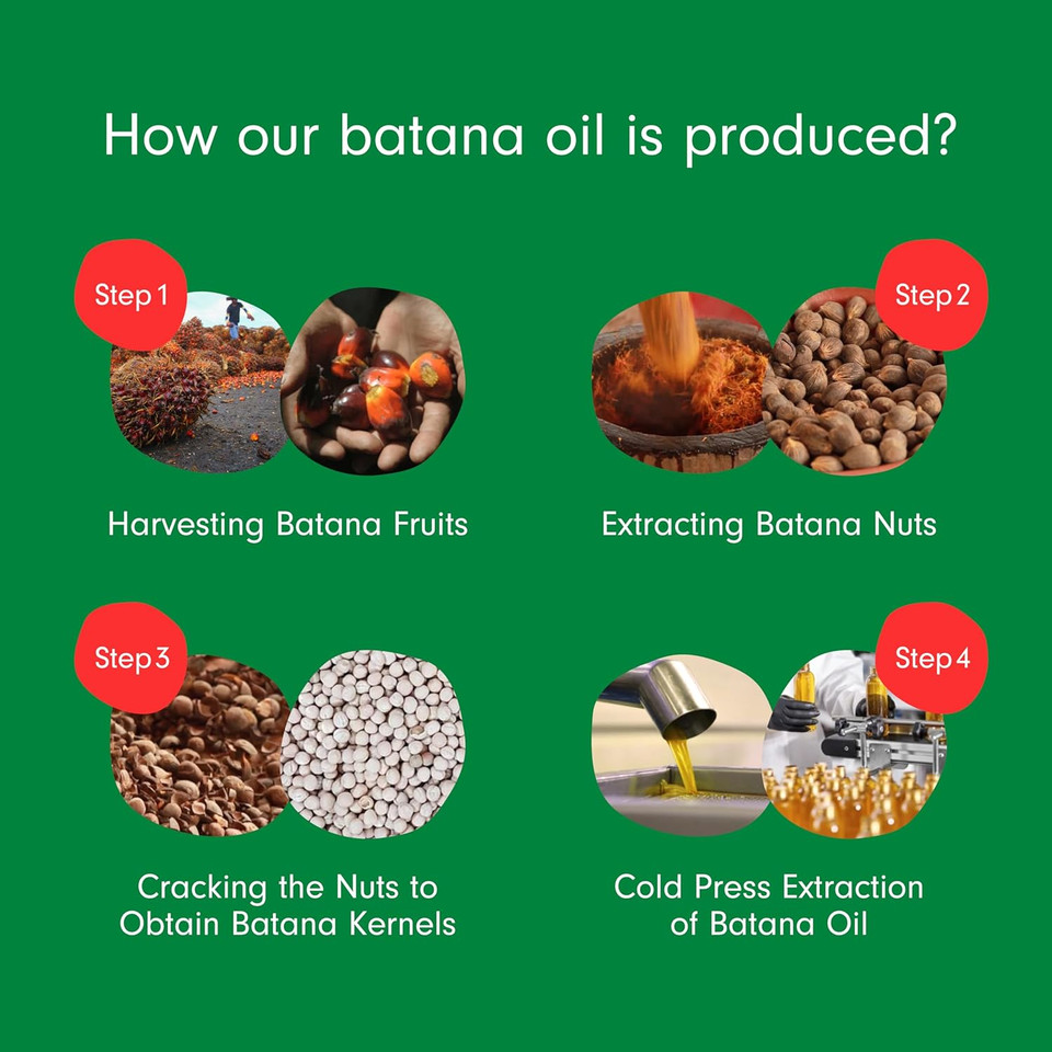 Dersie Batana Oil For Hair Growth: Dr Sebi Organic Raw Batana Oil From Honduras - 100% Pure & Natural - For Thicker & Stronger Hair - 4 Fl Oz Dersie Batana Oil For Hair Growth: Dr Sebi Organic Raw Batana Oil From Honduras - 100% Pure & Natural - For Thicker & Stronger Hair - 4 Fl Oz