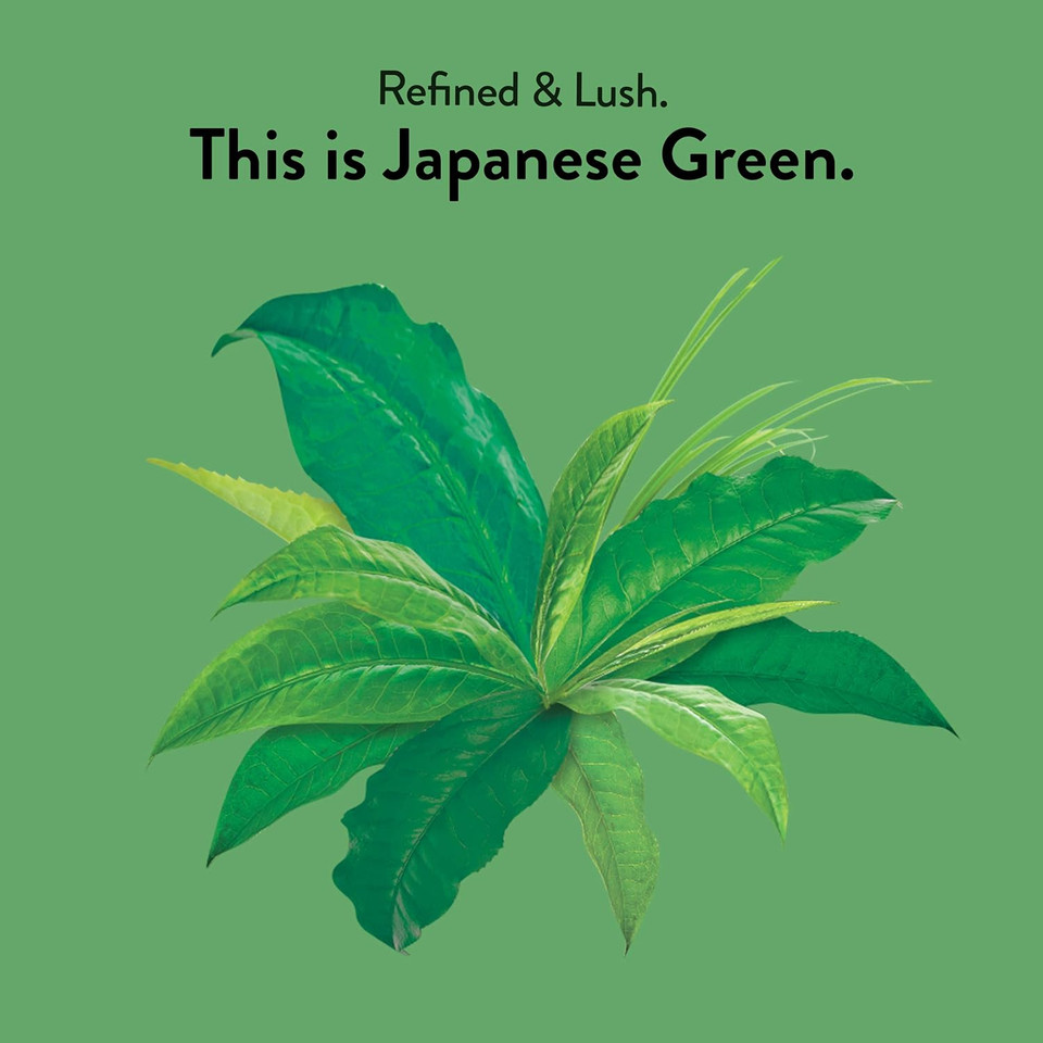 Choice Organics - Organic Japanese Green Tea (3 Pack) - Compostable - Contains Caffeine - 48 Organic Green Tea Bags1 Count (Pack Of 48)