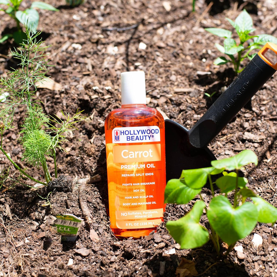 Hollywood Beauty Carrot Hair Oil, 8Oz Bottle, Hair, Scalp, Skin, Nail, & Massage Oil, Helps Repair Damaged Hair & Skin, Can Be Used As A Hot Oil Treatment Hollywood Beauty Carrot Hair Oil, 8Oz Bottle, Hair, Scalp, Skin, Nail, & Massage Oil, Helps Repair Damaged Hair & Skin, Can Be Used As A Hot Oil Treatment