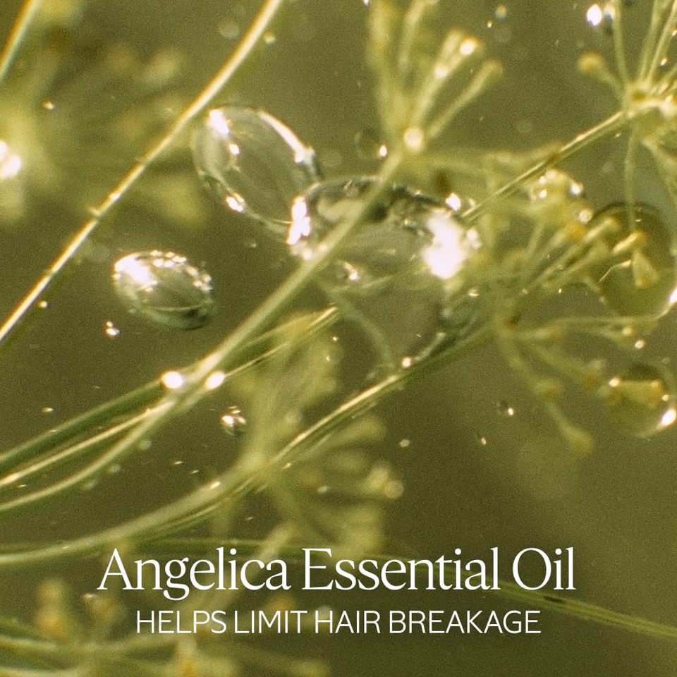 L'Occitane Intensive Repair Mask 6.90 Oz