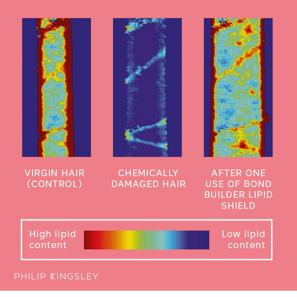 Philip Kingsley | Bond Builder Lipid Shield | Restorative Hair Oil Treatment For Dry And Damaged Hair | Heat Protectant Hair Moisturizer That Replenishes Dry And Damaged Hair | 1.01Oz