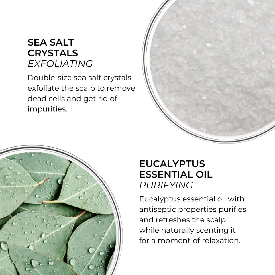 Phyto Scalp Solutions Purifying Cleansing Scrub  Exfoliating Sea Salt & Eucalyptus Scalp Detox  Silicone & Sulfate-Free  Refreshes & Balances Oily Scalp  7.05 Oz