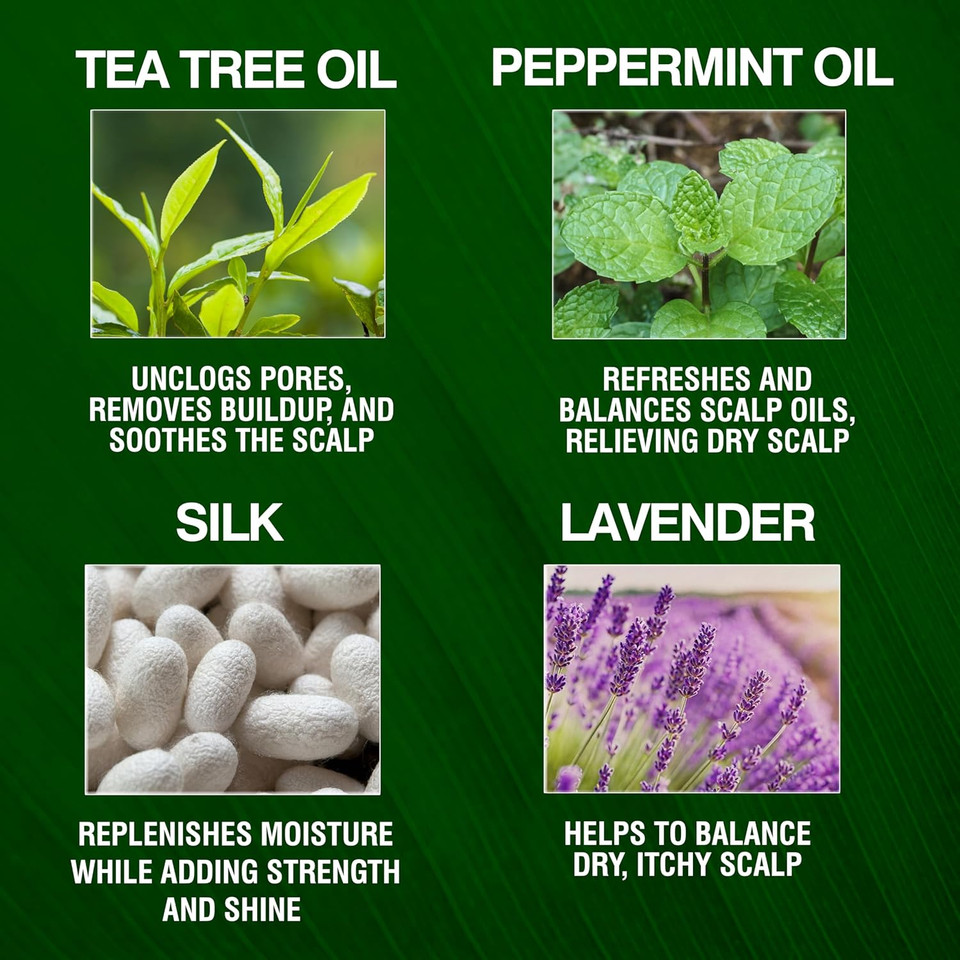 Chi Tea Tree Oil Conditioner, Strengthens Hair & Invigorates & Soothes Worn Out Locks, Sulfate, Paraben, & Cruelty-Free, 25 Oz