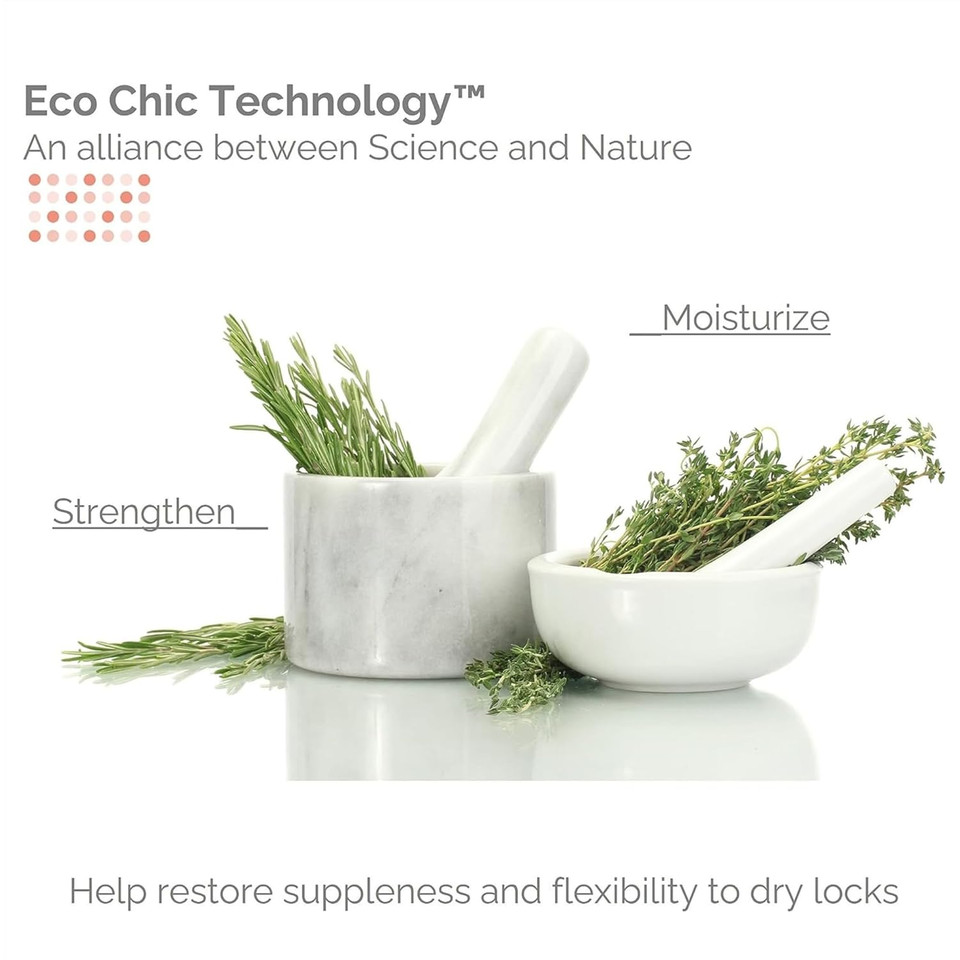 Giovanni Eco Chic 50:50 Balanced Hydrating Calming Conditioner - Leaves Hair Ph Balanced, Ideal For Over-Processed, Environmentally Stressed Hair, No Parabens, Color Safe, Sulfate Free - 8.5 Oz