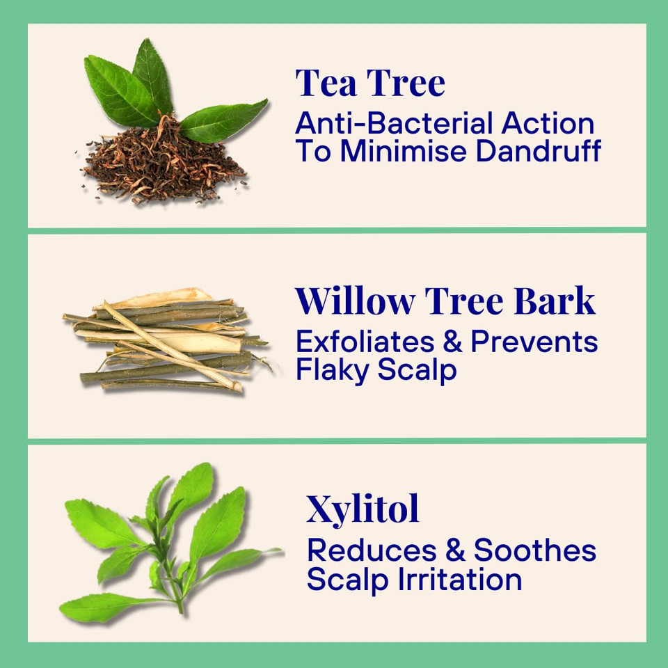 Hydrating & Replenishing Foaming Powder Shampoo For Dry Hair | 20X Washes | Vegan, Eco-Friendly, Cameila, Geranium 0.7 Oz Aluminum Bottle