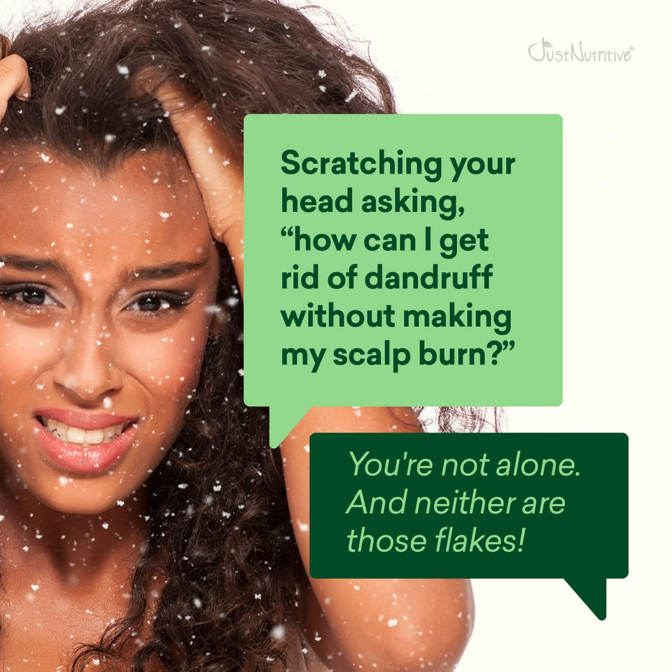 Just Nutritive Dandruff Clear Scalp Shampoo | Anti Dandruff Treatment | Natural Shampoo For Men And Women | Gentle Cleansing Shampoo For Dry Irritated Scalps 16 Fl Oz