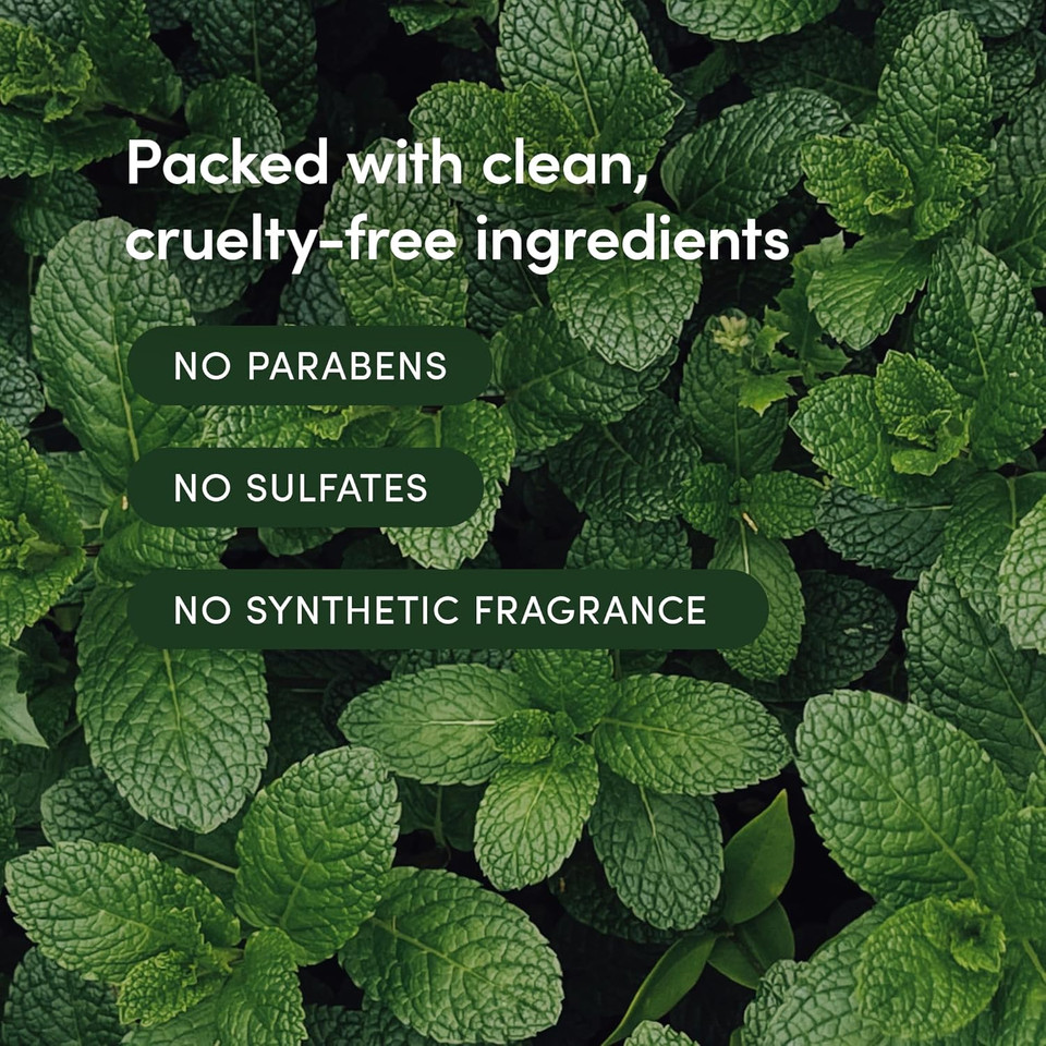 Lather - Mint Thyme Hair Wash, 8 Fl Oz - Daily Shampoo & Cleanser - Revitalize Hair - Aloe, Chamomile, Cucumber - Sensitive Skin Safe - Hotel Approved - Vegan & Cruelty Free - Beauty & Hair Care