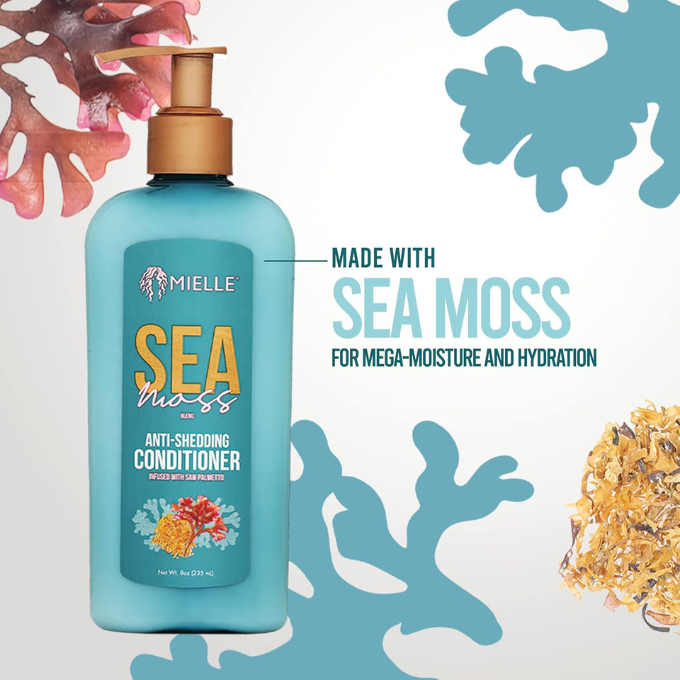 Mielle Organics Sea Moss Anti-Shedding Hair Conditioner - Hydrating Conditioner For Dry Hair - Fortifies Strands For Reduced Shedding - Improves Look And Feel With One Use (8 Oz)