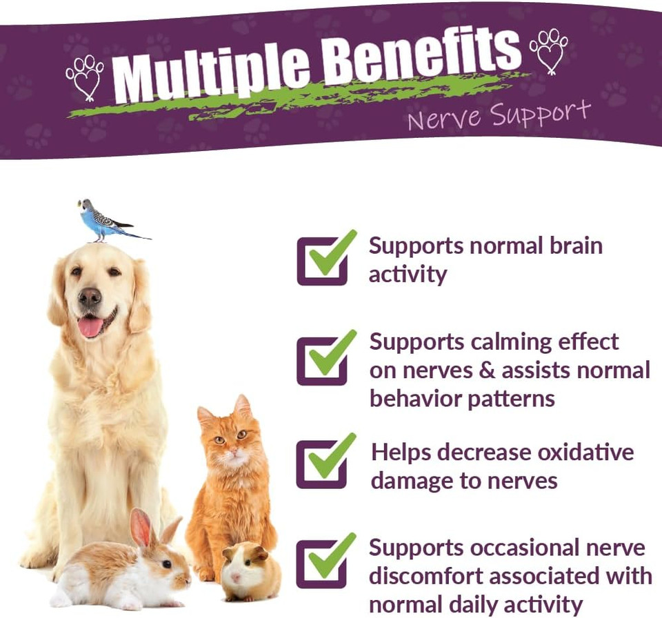 Amber Naturalz Dermanerv Herbal Supplement For Dogs, Cats, Birds, Guinea Pigs, And Rabbits | Pet Herbal Blend For Nerve And Neurological Support | 4 Fluid Ounce Glass Bottle | Manufactured In The Usa