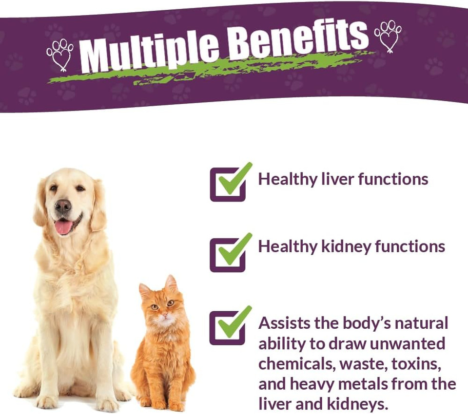 Amber Naturalz Internal Gold Detox Kit Herbal Supplement Kit For Dogs And Cats | Pet Supplements For Kidney And Liver Support | 2 Amber Glass Bottles (1 Fl Oz Each) | Manufactured In The Usa
