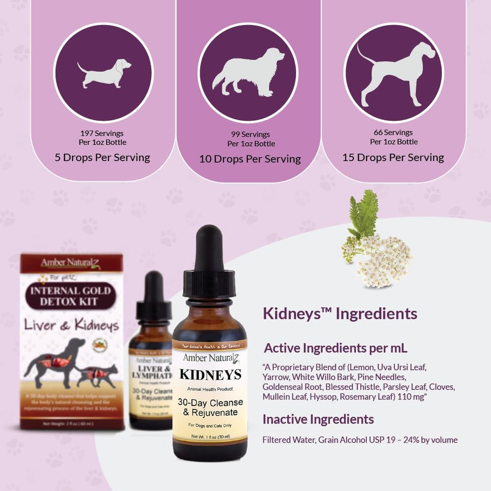 Amber Naturalz Internal Gold Detox Kit Herbal Supplement Kit For Dogs And Cats | Pet Supplements For Kidney And Liver Support | 2 Amber Glass Bottles (1 Fl Oz Each) | Manufactured In The Usa