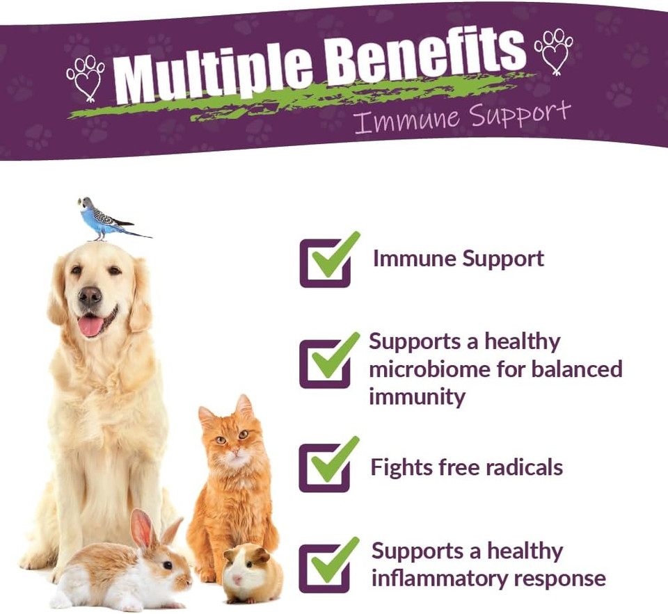 Amber Naturalz Vibactra Immune Support Herbal Supplement For Dogs, Cats, Birds, Guinea Pigs, And Rabbits | Pet Herbal Blend For Overall Health | 1 Fluid Ounce Glass Bottle | Manufactured In The Usa