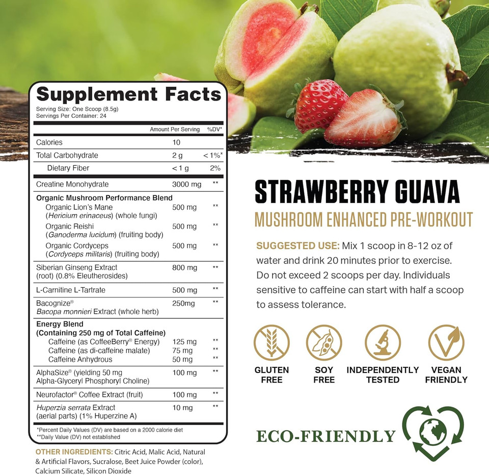 Ambrosia Kinetic Organic Preworkout, Mushroom Enhanced Natural Pre Workout Supplement, Nootropic Superfood Powder For Energy (Tropical Lime)