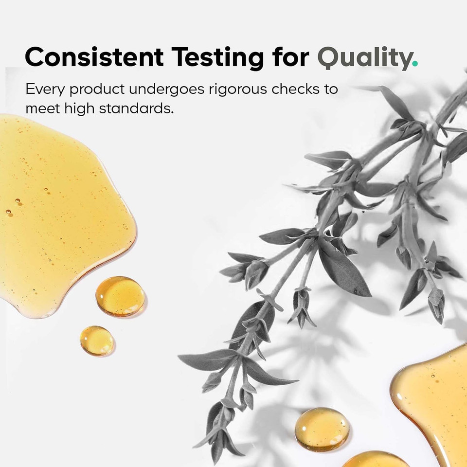 Amen Zinc & Copper Supplement + Probiotics, 3 Months Supply, One Per Day - 50 Mg Zinc Picolinate Vitamin Pills - Essential Minerals Supplements  2 Billion Cfus Probiotic  Vegan, Non-Gmo, 90 Capsules