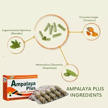 Ampalaya Supplement - 550Mg 30 Capsules With Banaba,Turmeric And Bitter Melon. Ampalaya Plus Capsules - Halal Herbal Suplements