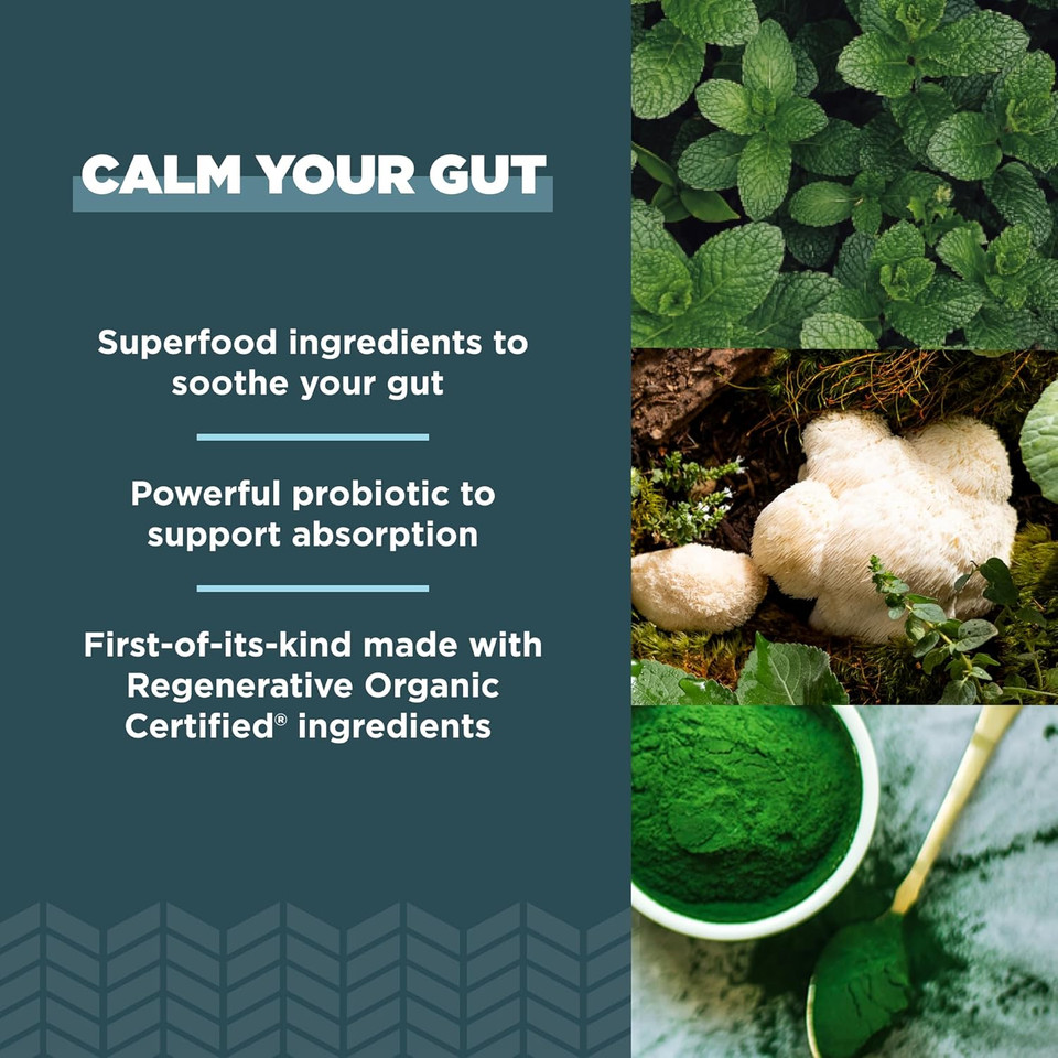 Ancient Nutrition Gut Health Supplement, Regenerative Organic Certified Leaky Gut Capsules, Formulated With LionS Mane, Fermented Licorice Root And Spearmint, Gluten Free, Paleo And Keto Friendly, 90