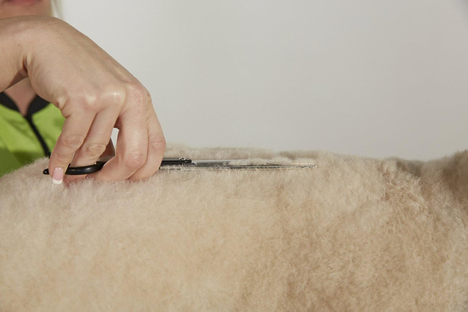 Andis 6.5" Thinning Shears, Left-Handed, Professional Dog And Cat Grooming (80635)