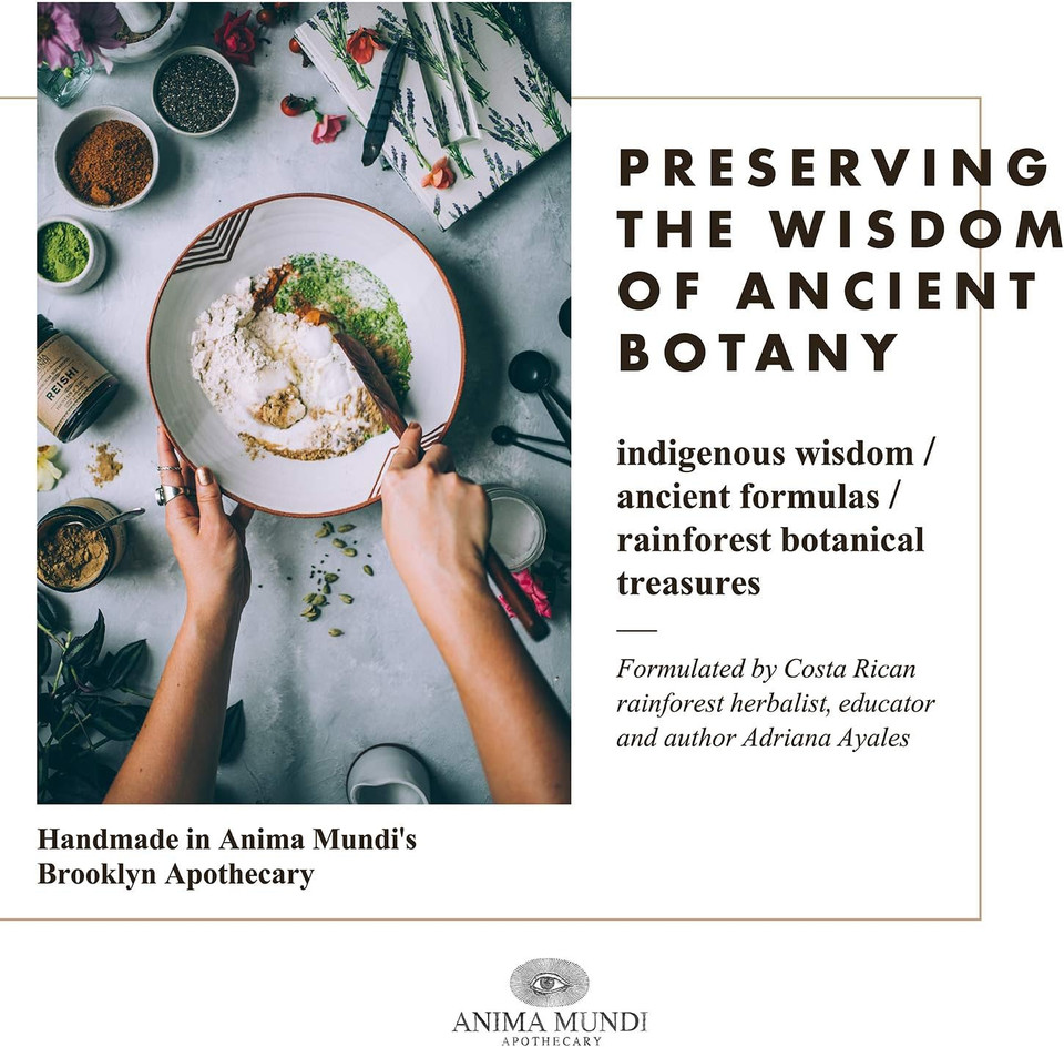 Anima Mundi Apothecary Gynostemma - Wild Grown Jiaogulan Leaf For Tea - Natural Source Of Nutrients, Antioxidants, Vitamins And Minerals - Longevity Tea Leaves (2Oz / 57G)