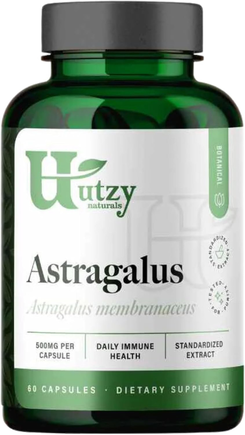 Astragalus | Daily Immune Health | 500 Mg Per Capsule | 60 Capsules