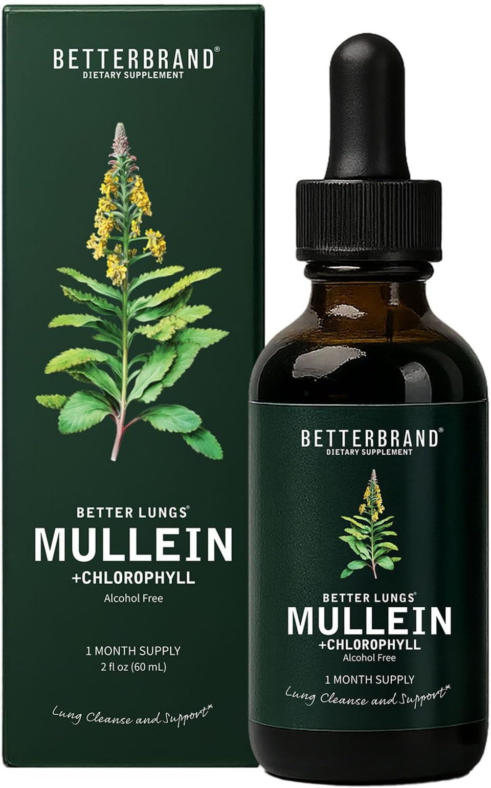 Betterbrand Mullein Drops For Lungs  Mullein Leaf Extract With Chlorophyll For Lung Cleanse & Detox  Supports Clear Lungs & Respiratory Health  All Natural Tincture, 1 Month Supply