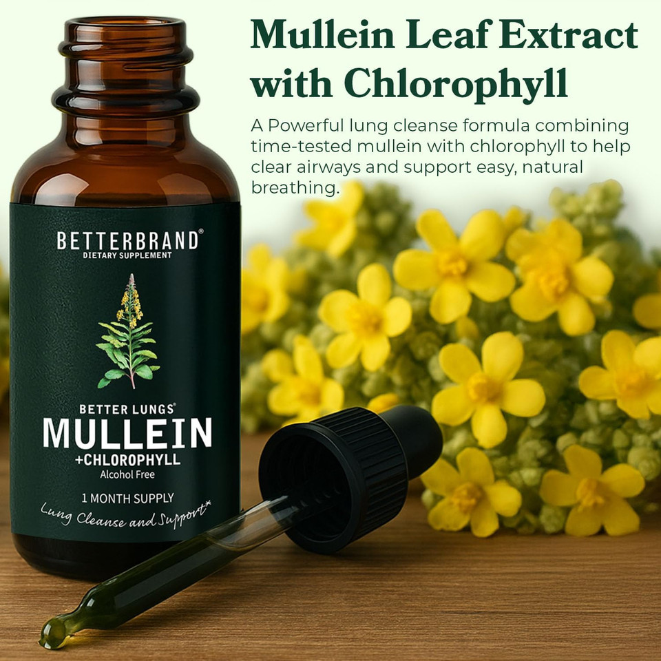 Betterlungs Mullein Leaf Extract And Elderberry Tincture Bundle - Lung Health Support