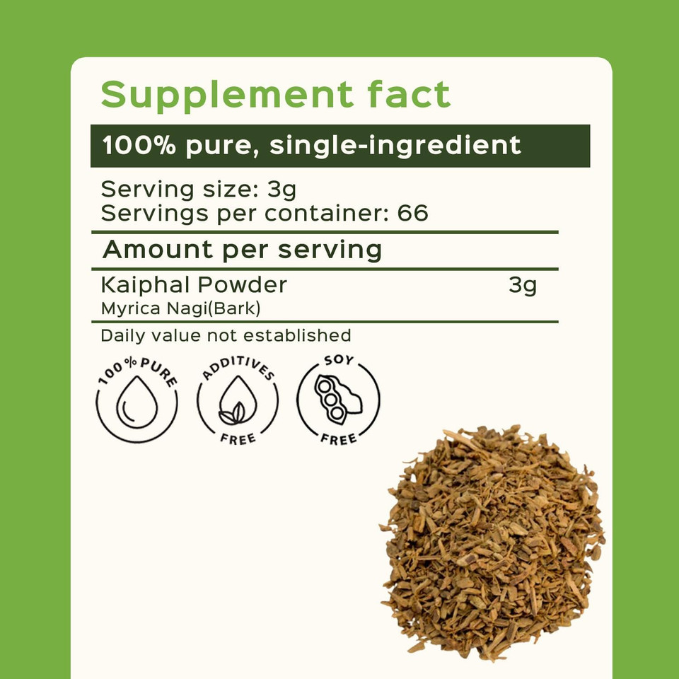 Bixa Botanical Bayberry Powder | Supports Respiratory And Digestive Health | Myrica Nagi | 200 Grams / 7 Oz | Ayurvedic Herbal Supplement | Gluten Free, Non-Gmo, Steam Treated, Vegan, 100% Pure