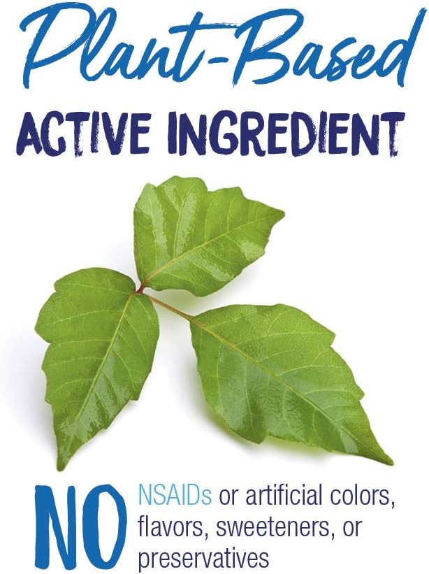 Boiron Rhus Tox 30C Homeopathic Medicine For Relief From Joint Pain, Muscle Aches, Swollen Or Stiff Joints, And Weather Related Aches - 3 Count (240 Pellets)