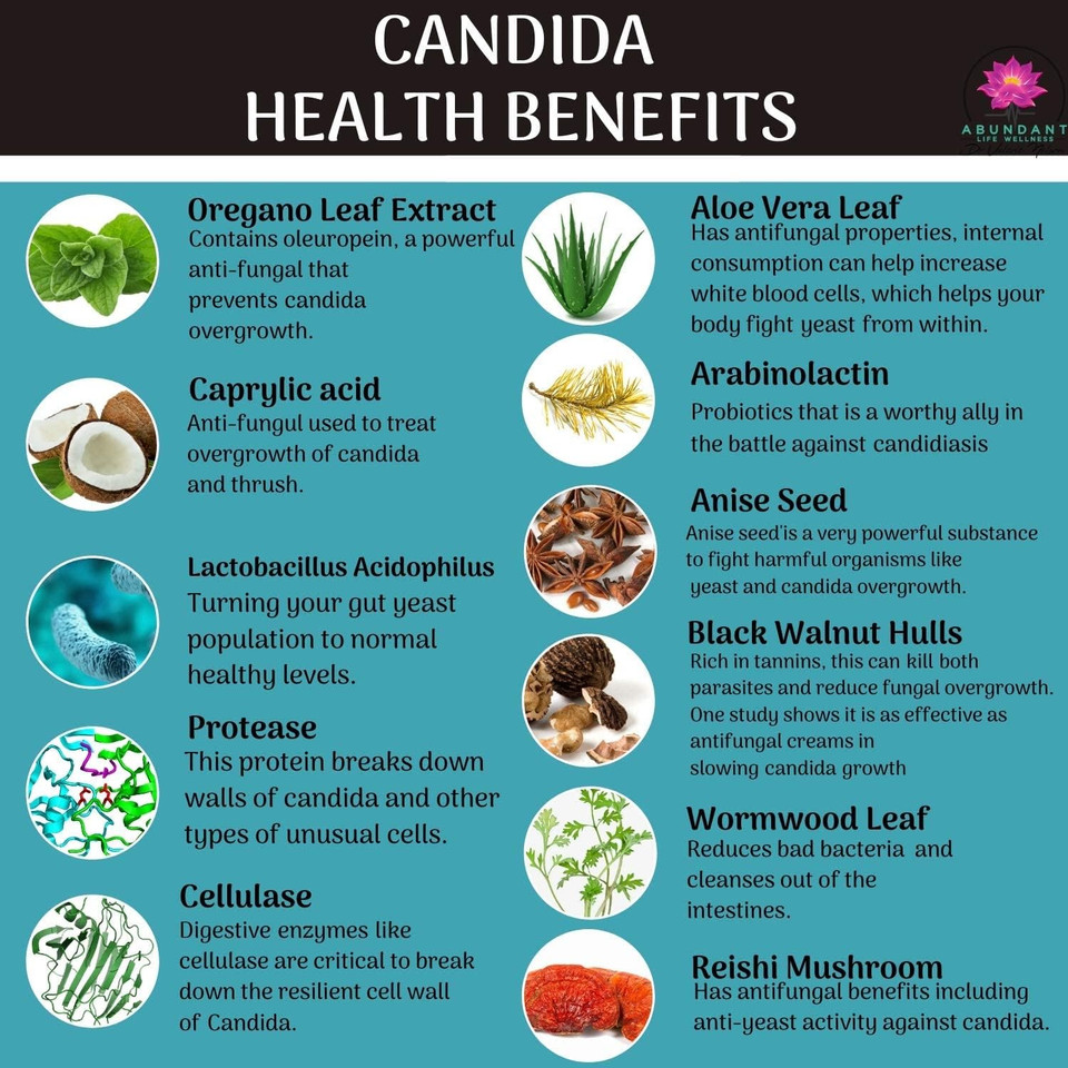 Candida Support - Aids Digestion, Intestinal Issues - 180 Capsules - By Dr. Valerie Nelson