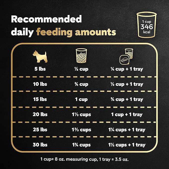 Cesar Small Breed Dry Dog Food Filet Mignon Flavor And Spring Vegetables Garnish, 5 Lb. Bag