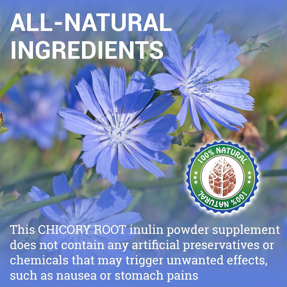 Chicory Root Supplement - Organic Inulin Powder Prebiotic Pills For Women & Men - Natural Herbal Support For Immune System - 160 Capsules
