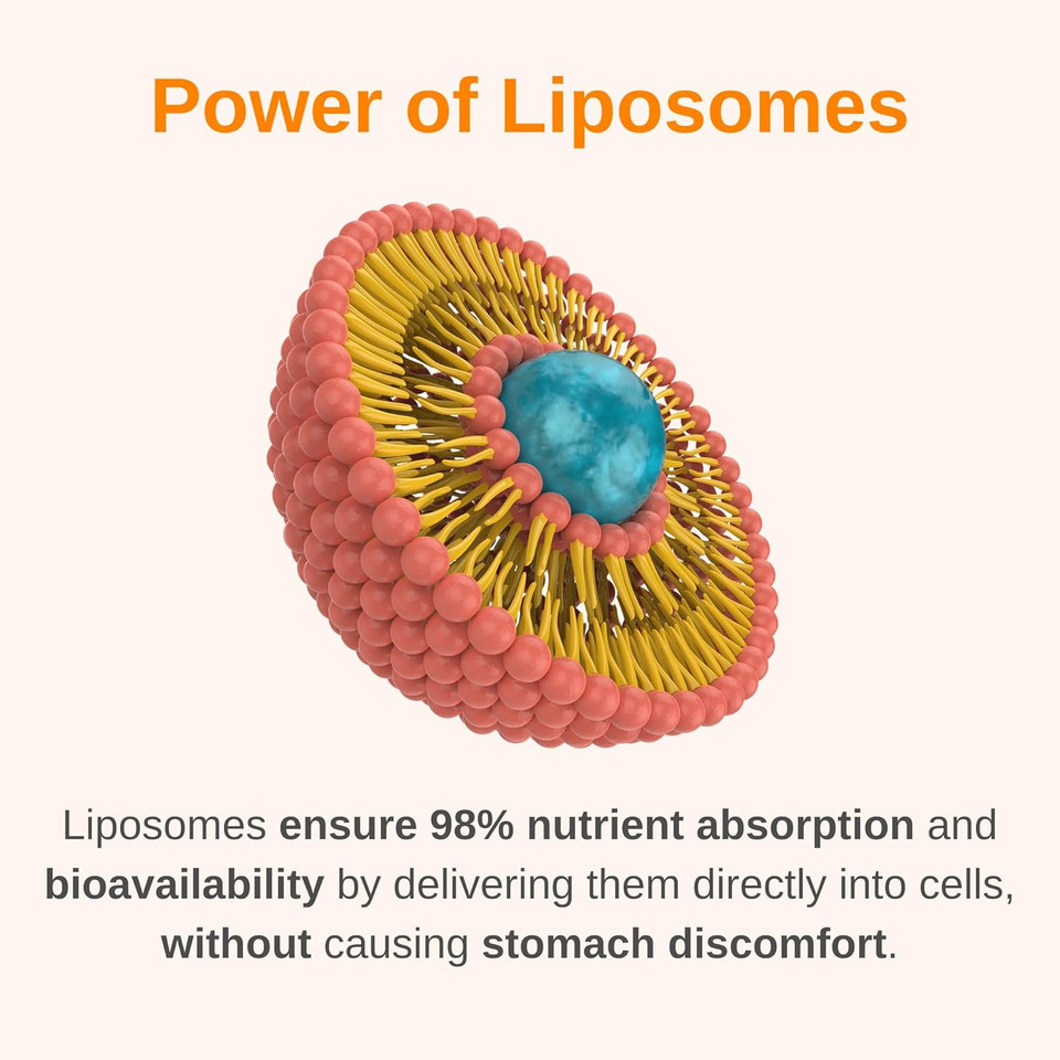 Complete 50+ Liposomal Liquid Multivitamin Bundle | Non-Gmo | Sugar Free | Gluten Free | 30-Day Supply