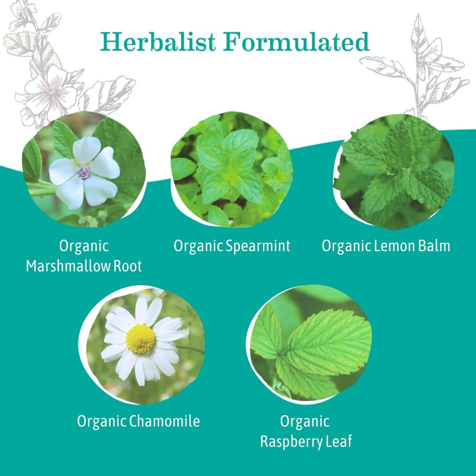 Earth Mama Organic Heartburn Tea | Pregnancy-Safe Soothing Herbal Blend With Marshmallow Root, Lemon Balm & Chamomile, 16 Teabags Per Box