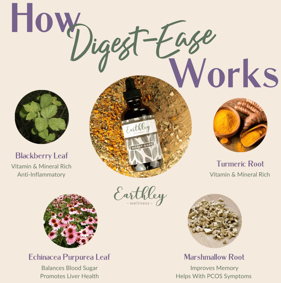 Earthley Wellness Digest Ease, Herbal Digestive Support Tincture For Gut Health, Stomach Relief, And Digestive Wellness | Organic Herbs Like Echinacea Leaf, Turmeric Root, Marshmallow Root, (2Oz)
