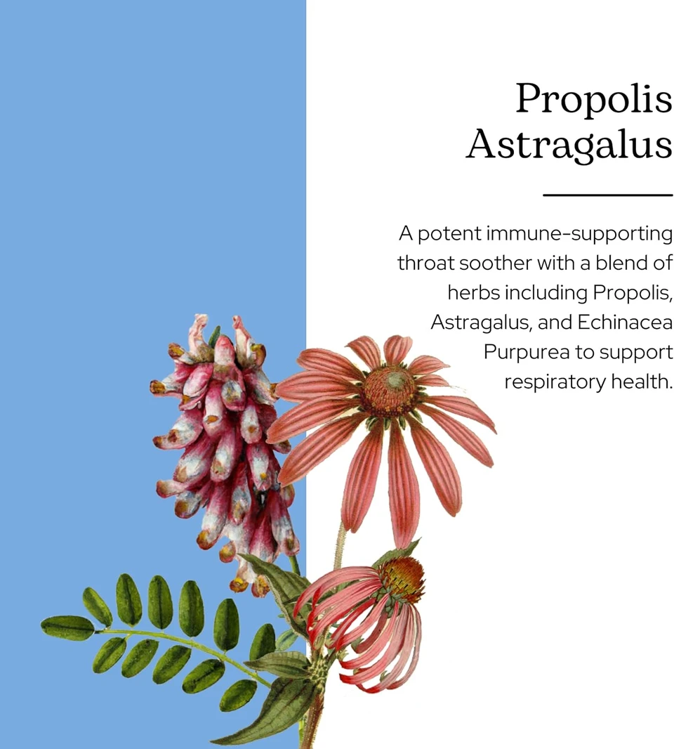 Eclectic Institute Propolis Astragalus Spray, Pink, 1 Fluid Ounce