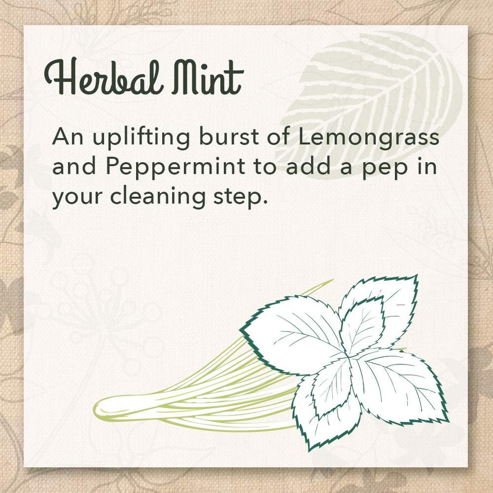 Ecome Dish Soap Liquid, Herbal Mint, 16 Oz