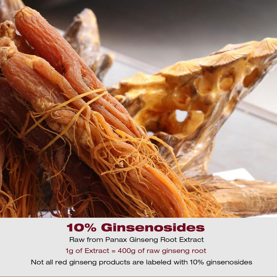 Eco-Taste Ginseng Root Extract Powder-Korean Panax For Smoothies, Coffee Or Drinks, 10% Ginsenosides, 60G (60 Servings)