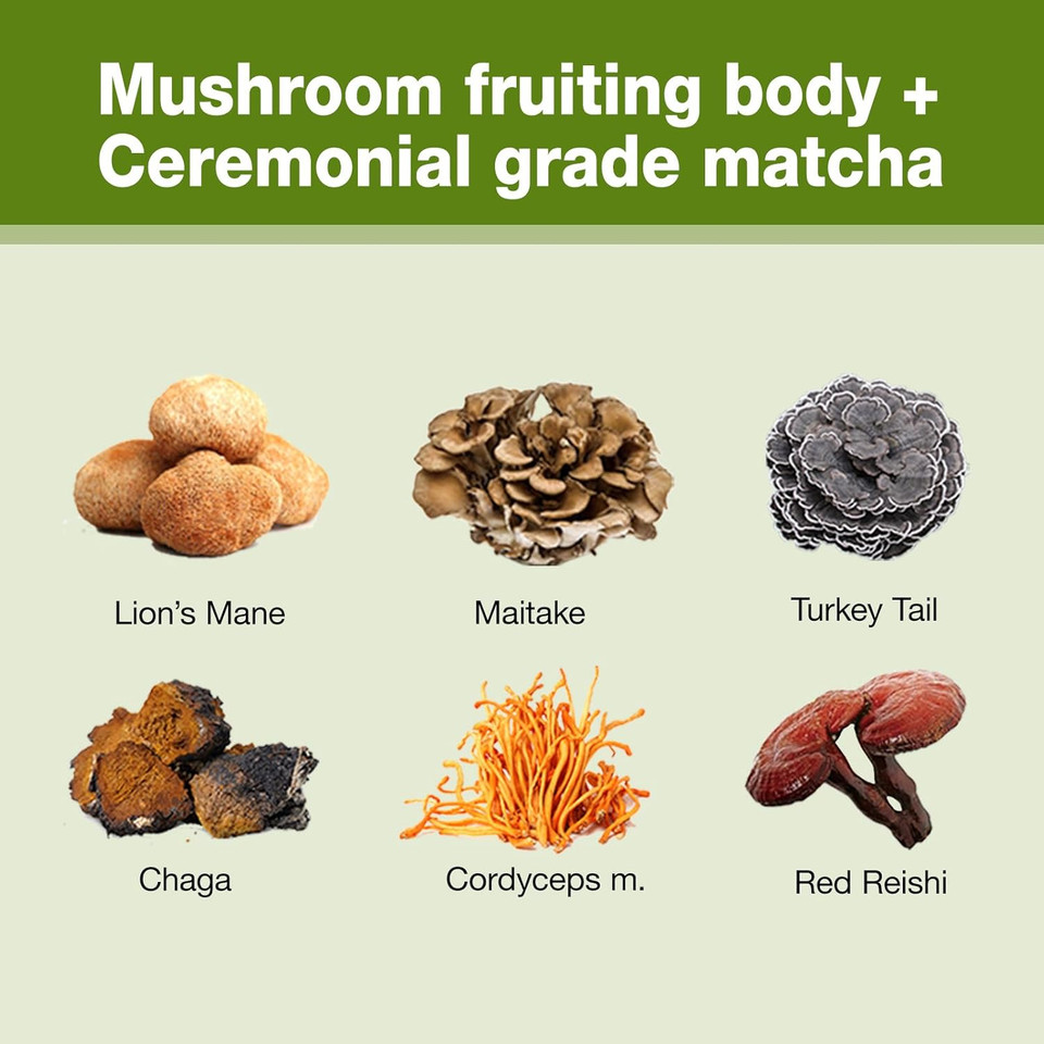 Eco-Taste Mushroom Matcha, 6 Super Mushrooms With 20% Beta-Glucan, Ceremonial Grade Matcha Latte Powder, 3.17Oz