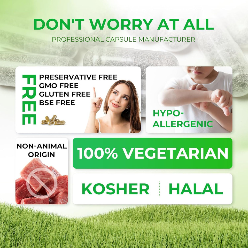 Empty Vegan Capsules Size 2 Plant Based Clear (500 Count) Gluten Free, Non-Gmo, Halal Certified Pill Caps Filling Kit With 2 Spoons For Vegetarian Diy Your Own Supplements