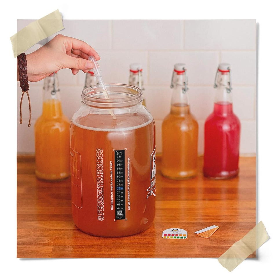 Fermentaholics Big Momma Kombucha Scoby With Twelve Ounces Of Starter Tea - Live Kombucha Starter Culture | Extra Large 6" Pellicle | Makes A One Gallon Batch | 1.5 Cups Of Strong Mature Starter Tea